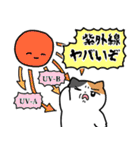 夏のミケネコ（個別スタンプ：22）