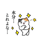 夏のミケネコ（個別スタンプ：27）