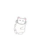ほわいときゃっとの日常（個別スタンプ：13）