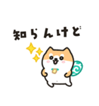柴犬たけちよのゆるい毎日（個別スタンプ：3）