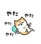 柴犬たけちよのゆるい毎日（個別スタンプ：6）