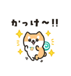 柴犬たけちよのゆるい毎日（個別スタンプ：8）