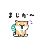 柴犬たけちよのゆるい毎日（個別スタンプ：11）