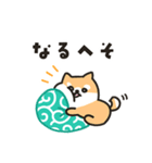 柴犬たけちよのゆるい毎日（個別スタンプ：19）