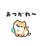 柴犬たけちよのゆるい毎日（個別スタンプ：35）