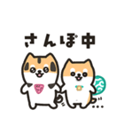 柴犬たけちよのゆるい毎日（個別スタンプ：37）