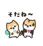 柴犬たけちよのゆるい毎日（個別スタンプ：38）