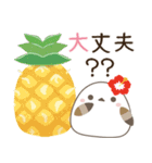 飛び出す！ねことシマエナガ 夏スタンプ2（個別スタンプ：9）