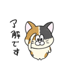 一年中使える！にゃんぴーす（個別スタンプ：2）