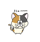 一年中使える！にゃんぴーす（個別スタンプ：9）