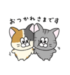 一年中使える！にゃんぴーす（個別スタンプ：11）