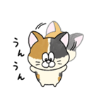一年中使える！にゃんぴーす（個別スタンプ：18）
