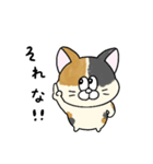 一年中使える！にゃんぴーす（個別スタンプ：20）