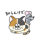 一年中使える！にゃんぴーす（個別スタンプ：21）
