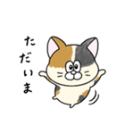一年中使える！にゃんぴーす（個別スタンプ：28）