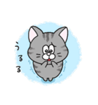 一年中使える！にゃんぴーす（個別スタンプ：32）