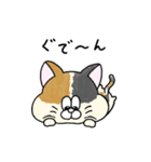 一年中使える！にゃんぴーす（個別スタンプ：36）