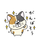 一年中使える！にゃんぴーす（個別スタンプ：39）