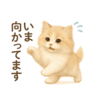 らてともちの毎日スタンプ（個別スタンプ：10）