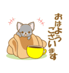 【犬屋】うちの子1番(チワワ)④（個別スタンプ：2）