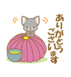 【犬屋】うちの子1番(チワワ)④（個別スタンプ：6）