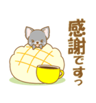 【犬屋】うちの子1番(チワワ)④（個別スタンプ：8）