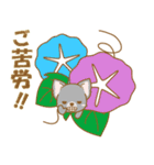 【犬屋】うちの子1番(チワワ)④（個別スタンプ：11）
