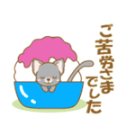 【犬屋】うちの子1番(チワワ)④（個別スタンプ：12）