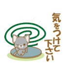 【犬屋】うちの子1番(チワワ)④（個別スタンプ：25）