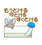 【犬屋】うちの子1番(チワワ)④（個別スタンプ：28）