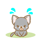 【犬屋】うちの子1番(チワワ)④（個別スタンプ：29）