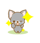 【犬屋】うちの子1番(チワワ)④（個別スタンプ：30）