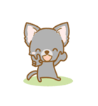 【犬屋】うちの子1番(チワワ)④（個別スタンプ：33）