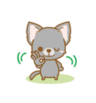 【犬屋】うちの子1番(チワワ)④（個別スタンプ：34）