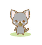 【犬屋】うちの子1番(チワワ)④（個別スタンプ：37）