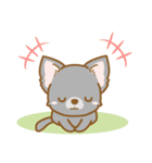 【犬屋】うちの子1番(チワワ)④（個別スタンプ：40）