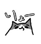 やる気ゼロ猫（個別スタンプ：15）