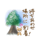 ☆夏ことば ＆ 基本挨拶☆（個別スタンプ：20）