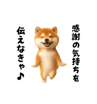 エッホエッホ柴犬（個別スタンプ：7）
