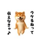 エッホエッホ柴犬（個別スタンプ：10）