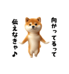 エッホエッホ柴犬（個別スタンプ：12）
