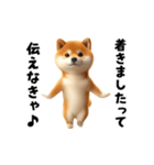 エッホエッホ柴犬（個別スタンプ：13）