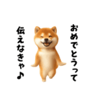 エッホエッホ柴犬（個別スタンプ：18）