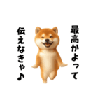 エッホエッホ柴犬（個別スタンプ：20）