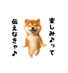 エッホエッホ柴犬（個別スタンプ：21）