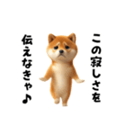 エッホエッホ柴犬（個別スタンプ：23）