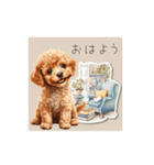癒しのかわいいトイプードル（個別スタンプ：1）