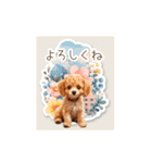 癒しのかわいいトイプードル（個別スタンプ：12）