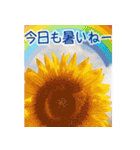 背景が動く✨ひまわりと虹と-キラキラな夏-（個別スタンプ：4）