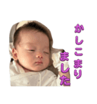 ちょい敬語らい（個別スタンプ：8）
